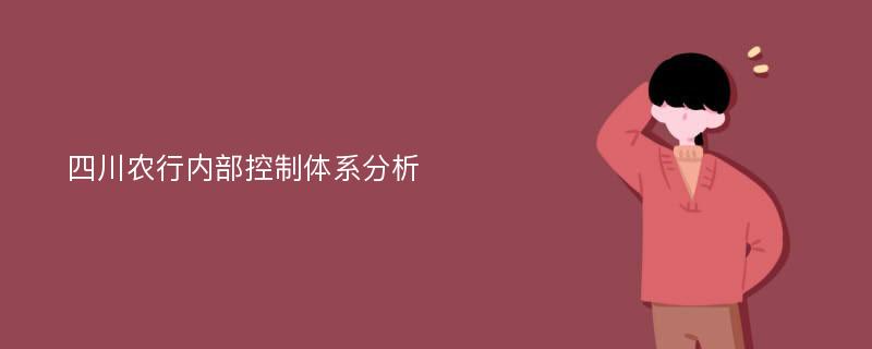 四川农行内部控制体系分析