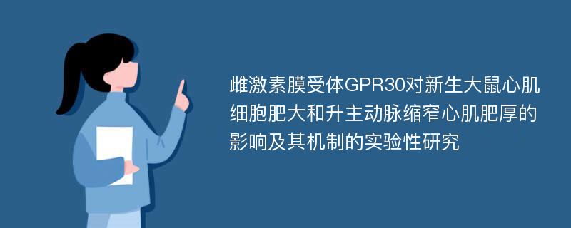 雌激素膜受体GPR30对新生大鼠心肌细胞肥大和升主动脉缩窄心肌肥厚的影响及其机制的实验性研究