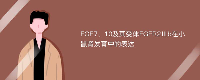 FGF7、10及其受体FGFR2Ⅲb在小鼠肾发育中的表达