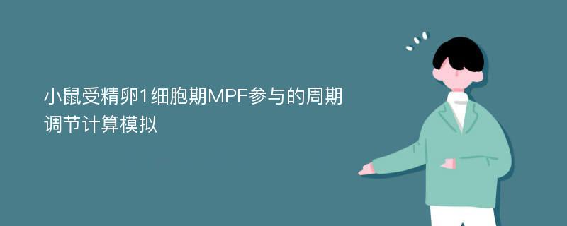 小鼠受精卵1细胞期MPF参与的周期调节计算模拟