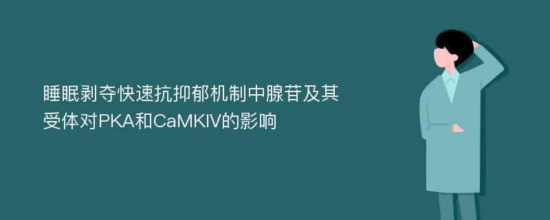 睡眠剥夺快速抗抑郁机制中腺苷及其受体对PKA和CaMKIV的影响