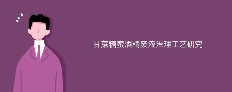 甘蔗糖蜜酒精废液治理工艺研究