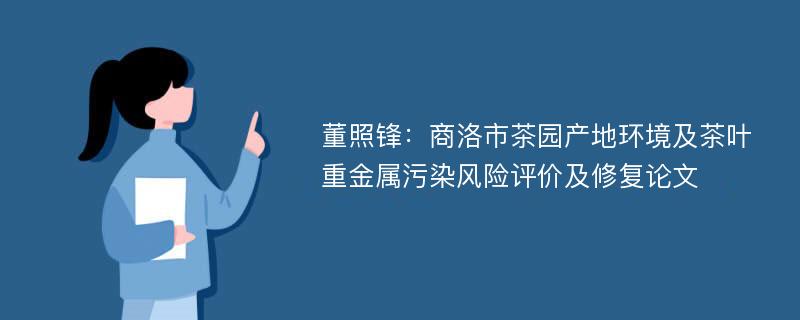 董照锋：商洛市茶园产地环境及茶叶重金属污染风险评价及修复论文