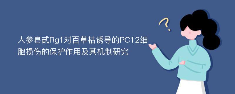 人参皂甙Rg1对百草枯诱导的PC12细胞损伤的保护作用及其机制研究