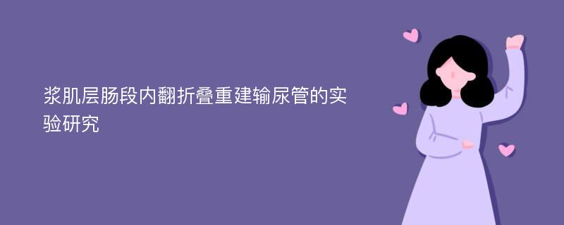 浆肌层肠段内翻折叠重建输尿管的实验研究