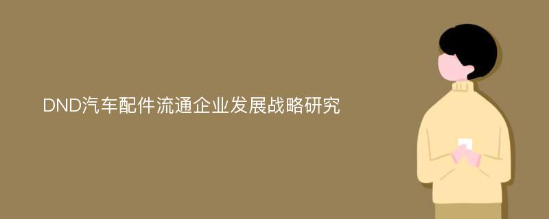 DND汽车配件流通企业发展战略研究