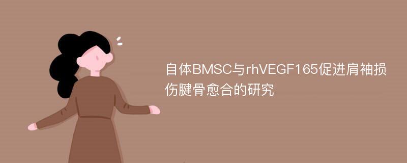 自体BMSC与rhVEGF165促进肩袖损伤腱骨愈合的研究