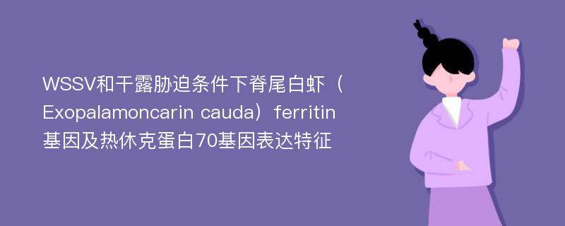 WSSV和干露胁迫条件下脊尾白虾（Exopalamoncarin cauda）ferritin基因及热休克蛋白70基因表达特征