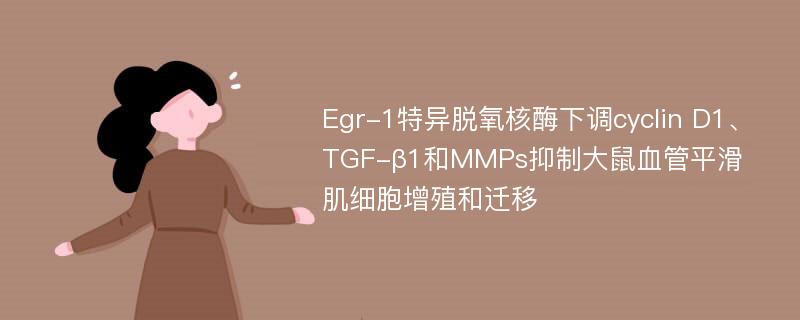 Egr-1特异脱氧核酶下调cyclin D1、TGF-β1和MMPs抑制大鼠血管平滑肌细胞增殖和迁移
