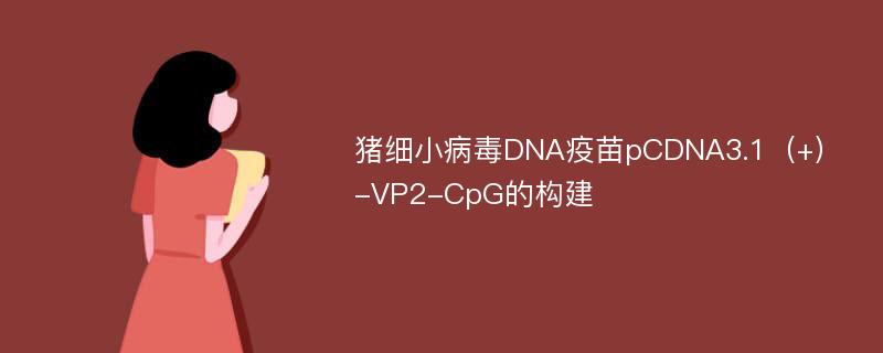 猪细小病毒DNA疫苗pCDNA3.1（+）-VP2-CpG的构建