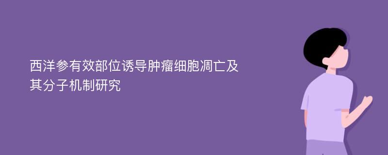 西洋参有效部位诱导肿瘤细胞凋亡及其分子机制研究