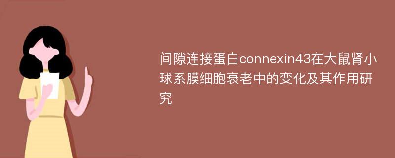 间隙连接蛋白connexin43在大鼠肾小球系膜细胞衰老中的变化及其作用研究