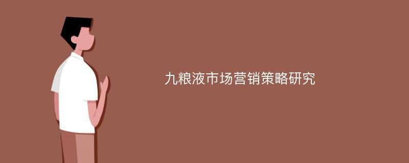 九粮液市场营销策略研究