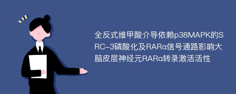 全反式维甲酸介导依赖p38MAPK的SRC-3磷酸化及RARα信号通路影响大脑皮层神经元RARα转录激活活性