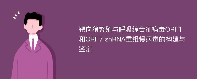 靶向猪繁殖与呼吸综合征病毒ORF1和ORF7 shRNA重组慢病毒的构建与鉴定