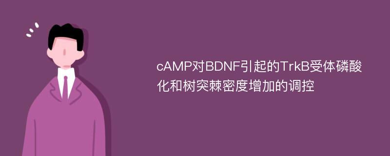 cAMP对BDNF引起的TrkB受体磷酸化和树突棘密度增加的调控