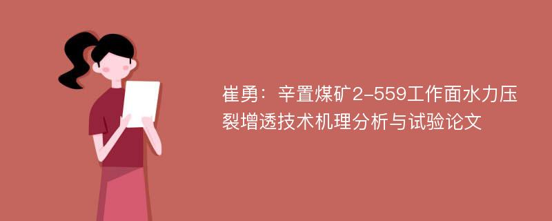 崔勇：辛置煤矿2-559工作面水力压裂增透技术机理分析与试验论文