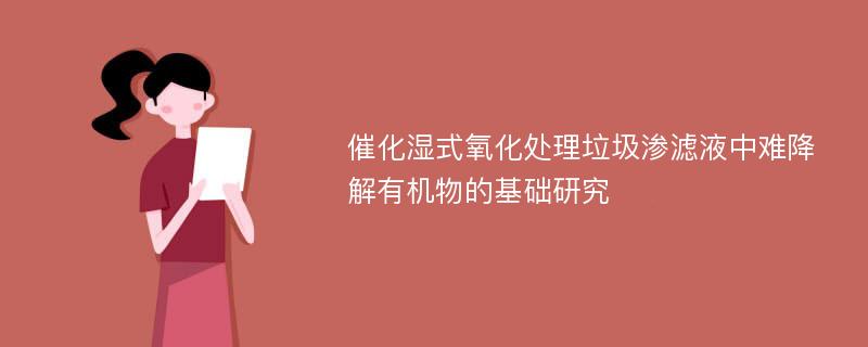 催化湿式氧化处理垃圾渗滤液中难降解有机物的基础研究