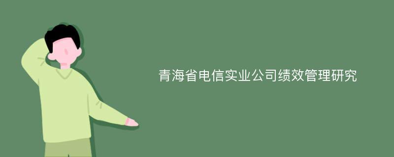 青海省电信实业公司绩效管理研究