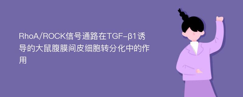 RhoA/ROCK信号通路在TGF-β1诱导的大鼠腹膜间皮细胞转分化中的作用