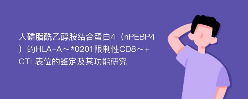 人磷脂酰乙醇胺结合蛋白4（hPEBP4）的HLA-A～*0201限制性CD8～+ CTL表位的鉴定及其功能研究