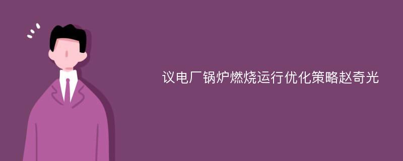 议电厂锅炉燃烧运行优化策略赵奇光