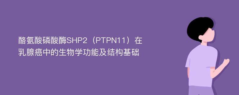 酪氨酸磷酸酶SHP2（PTPN11）在乳腺癌中的生物学功能及结构基础