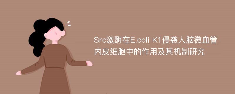 Src激酶在E.coli K1侵袭人脑微血管内皮细胞中的作用及其机制研究