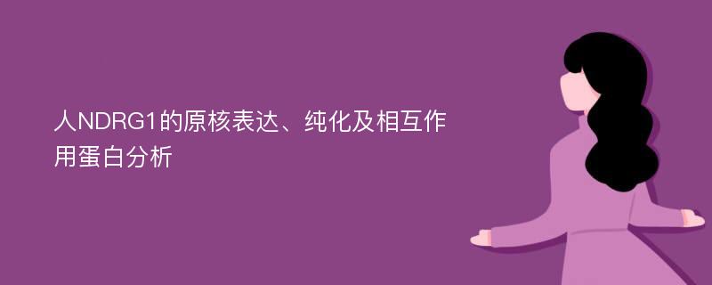 人NDRG1的原核表达、纯化及相互作用蛋白分析