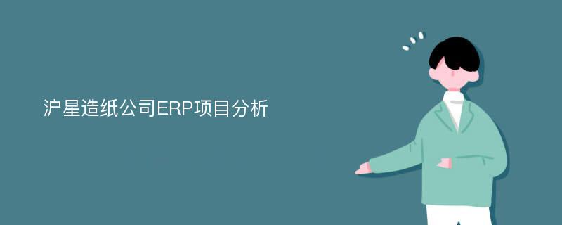 沪星造纸公司ERP项目分析