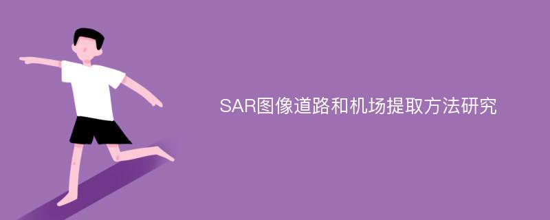 SAR图像道路和机场提取方法研究