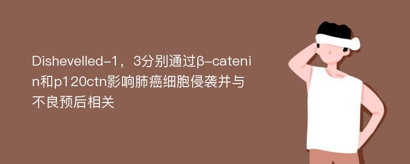 Dishevelled-1，3分别通过β-catenin和p120ctn影响肺癌细胞侵袭并与不良预后相关