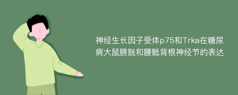 神经生长因子受体p75和Trka在糖尿病大鼠膀胱和腰骶背根神经节的表达