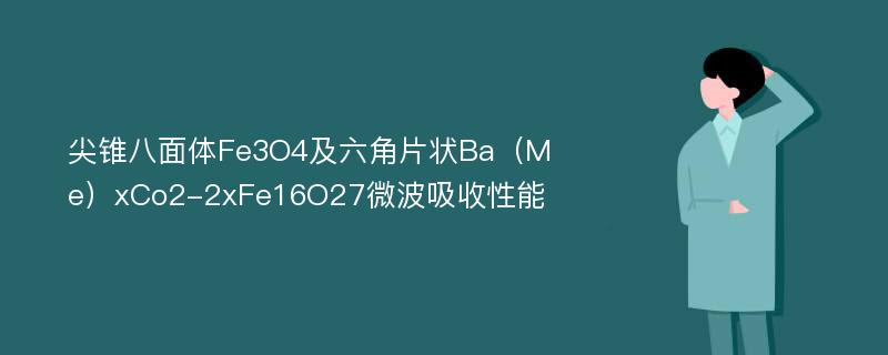 尖锥八面体Fe3O4及六角片状Ba（Me）xCo2-2xFe16O27微波吸收性能