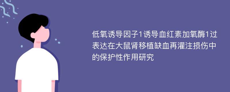 低氧诱导因子1诱导血红素加氧酶1过表达在大鼠肾移植缺血再灌注损伤中的保护性作用研究