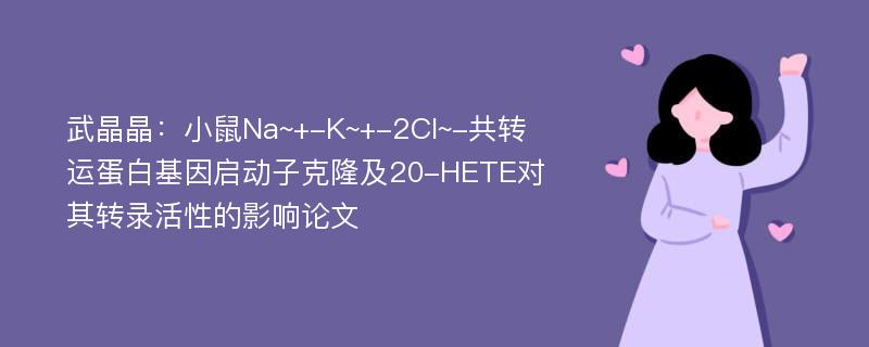 武晶晶：小鼠Na~+-K~+-2Cl~-共转运蛋白基因启动子克隆及20-HETE对其转录活性的影响论文