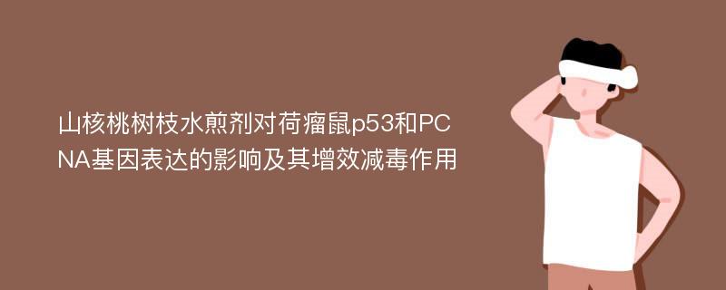 山核桃树枝水煎剂对荷瘤鼠p53和PCNA基因表达的影响及其增效减毒作用