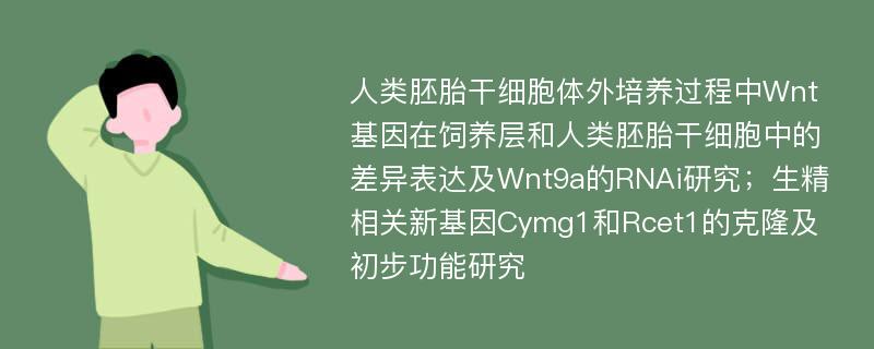 人类胚胎干细胞体外培养过程中Wnt基因在饲养层和人类胚胎干细胞中的差异表达及Wnt9a的RNAi研究；生精相关新基因Cymg1和Rcet1的克隆及初步功能研究