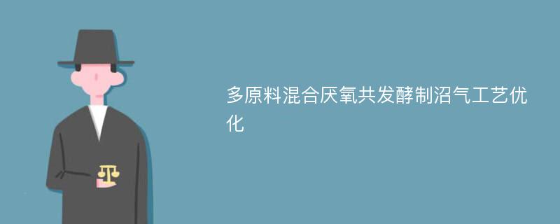 多原料混合厌氧共发酵制沼气工艺优化