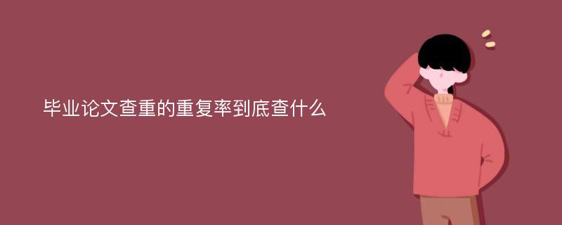 毕业论文查重的重复率到底查什么