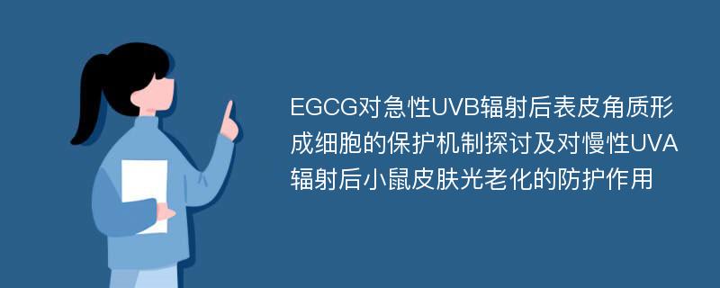 EGCG对急性UVB辐射后表皮角质形成细胞的保护机制探讨及对慢性UVA辐射后小鼠皮肤光老化的防护作用