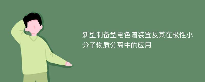 新型制备型电色谱装置及其在极性小分子物质分离中的应用