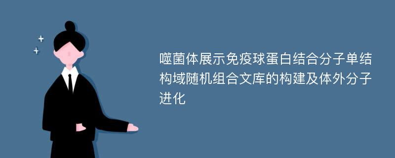 噬菌体展示免疫球蛋白结合分子单结构域随机组合文库的构建及体外分子进化