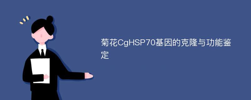 菊花CgHSP70基因的克隆与功能鉴定