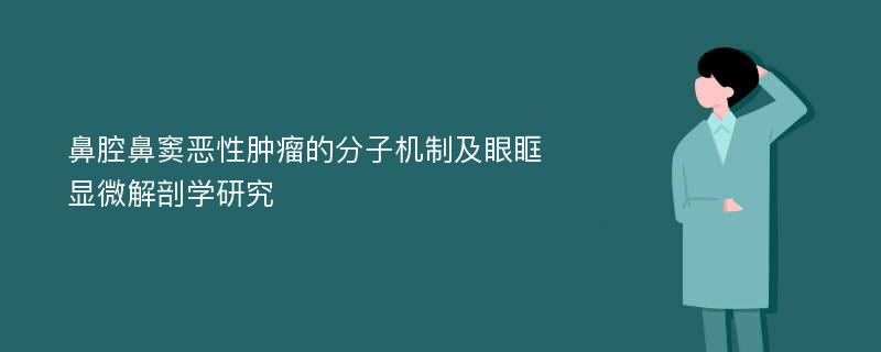 鼻腔鼻窦恶性肿瘤的分子机制及眼眶显微解剖学研究