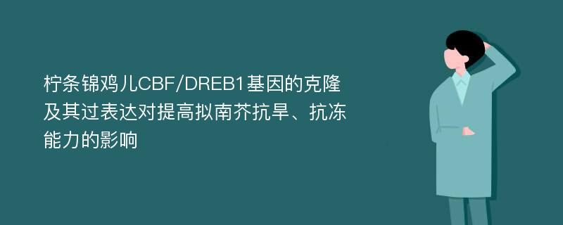 柠条锦鸡儿CBF/DREB1基因的克隆及其过表达对提高拟南芥抗旱、抗冻能力的影响