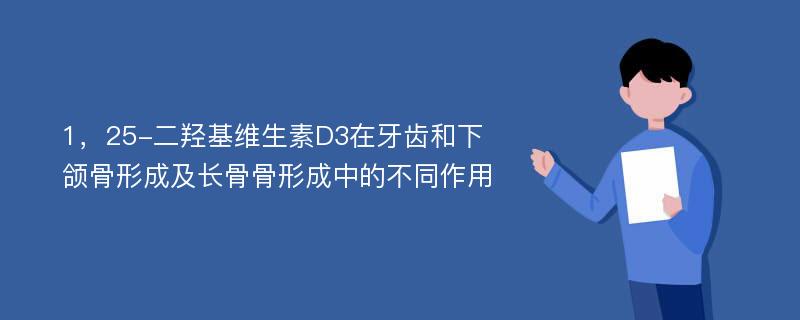 1，25-二羟基维生素D3在牙齿和下颌骨形成及长骨骨形成中的不同作用