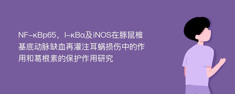 NF-κBp65，I-κBα及iNOS在豚鼠椎基底动脉缺血再灌注耳蜗损伤中的作用和葛根素的保护作用研究