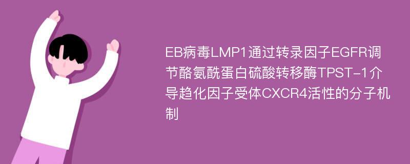 EB病毒LMP1通过转录因子EGFR调节酪氨酰蛋白硫酸转移酶TPST-1介导趋化因子受体CXCR4活性的分子机制