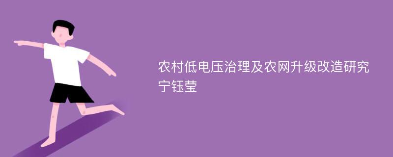 农村低电压治理及农网升级改造研究宁钰莹